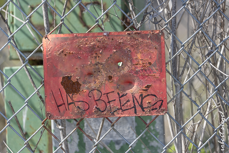 emily renzel wetlands 2025